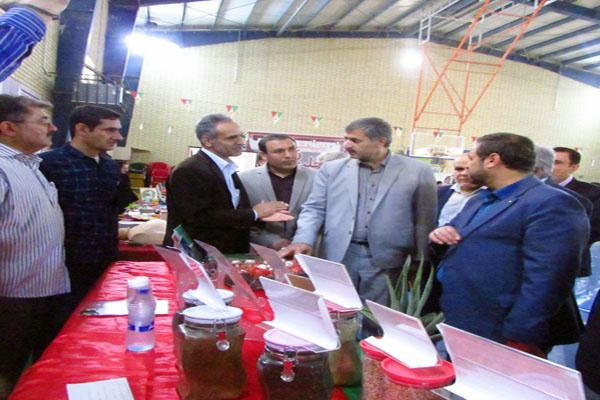 برپایی غرفه مرکز تحقیقات و آموزش علمی کاربردی جهادکشاورزی و منابع طبیعی استان بوشهر در نمایشگاه هفته مشاغل