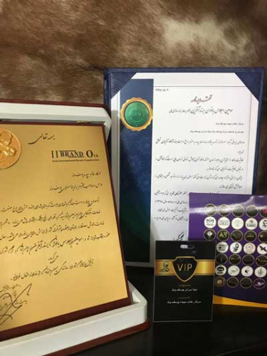 دریافت تقدیر نامه و تندیس سومین اجلاس بانوان برند آفرین با محوریت برند سازی ملی توسط مدرس کارآفرینی دانشگاه جامع علمی کاربردی استان بوشهر